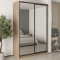 MebelStar Two-door wardrobe Combo BG 2 Mirrors Sonoma Oak, 160x45x240 cm (MBS-10769)