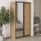 MebelStar Two-door wardrobe Standard BG DSP/Mirror Tahoe Oak, 110x60x210 cm (MBS-11129)