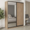 MebelStar Two-door wardrobe Combo BG DSP/Mirror Sonoma Oak, 180x45x240 cm (MBS-10699)