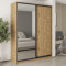 MebelStar Two-door wardrobe Combo BG DSP/Mirror Tahoe Oak, 180x60x240 cm (MBS-10739)