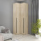 Sonoma oak