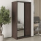 MebelStar Two-door wardrobe Standard BG DSP/Mirror Ristreto Oak, 100x45x210 cm (MBS-11020)