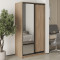 MebelStar Two-door wardrobe Standard BG DSP/Mirror Sonoma Oak, 110x60x210 cm (MBS-11120)