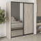 MebelStar Two-door wardrobe Combo BG DSP/Mirror Alaska gray, 170x60x210 cm (MBS-11570)