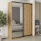 MebelStar Two-door wardrobe Standard BG DSP/Mirror Tahoe Oak, 170x45x240 cm (MBS-10190)