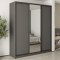 MebelStar Three-door wardrobe Combo BG 2DSP/Mirror Anthracite, 210x60x240 cm (MBS-9621)