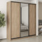 MebelStar Three-door wardrobe Combo BG 2DSP/Mirror Sonoma Oak, 210x60x240 cm (MBS-9641)