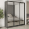 MebelStar Three-door wardrobe Combo BG 3 Mirrors Anthracite, 210x60x240 cm (MBS-9801)