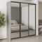 MebelStar Three-door wardrobe Combo BG 3 Mirrors Gray mouse, 210x60x240 cm (MBS-9921)