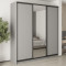 MebelStar Three-door wardrobe Combo BG 2DSP/Mirror Gray mouse, 220x60x240 cm (MBS-9742)