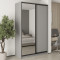 MebelStar Two-door wardrobe Combo BG DSP/Mirror Gray mouse, 150x45x240 cm (MBS-10692)
