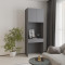 Anthracite