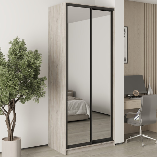 MebelStar Two-door wardrobe Standard BG 2 Mirrors Alaska gray, 100x45x240 cm (MBS-10273)