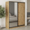 MebelStar Two-door wardrobe Standard BG DSP/Mirror Tahoe Oak, 160x45x210 cm (MBS-11053)