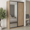 MebelStar Two-door wardrobe Combo BG DSP/Mirror Sonoma Oak, 160x60x240 cm (MBS-10733)