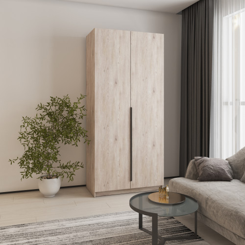 Шкаф 2-дверный MebelStar Оскар ДСП BL-B, стандарт 100x52x220 см Аляска серый (MBS-4479)