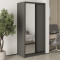 MebelStar Two-door wardrobe Standard BG DSP/Mirror Anthracite, 100x45x210 cm (MBS-10984)
