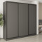 MebelStar Three-door wardrobe Combo BG 3DSP Anthracite, 250x60x240 cm (MBS-9445)