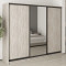 MebelStar Three-door wardrobe Combo BG 2DSP/Mirror Alaska gray, 250x45x210 cm (MBS-9155)