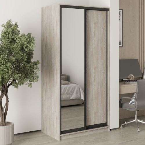MebelStar Two-door wardrobe Standard BG DSP/Mirror Alaska gray, 100x45x210 cm (MBS-10975)