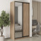 MebelStar Two-door wardrobe Standard BG DSP/Mirror Sonoma Oak, 120x45x240 cm (MBS-10176)