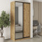 MebelStar Two-door wardrobe Standard BG DSP/Mirror Tahoe Oak, 120x60x240 cm (MBS-10266)
