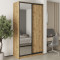 MebelStar Two-door wardrobe Standard BG DSP/Mirror Tahoe Oak, 130x45x240 cm (MBS-10186)