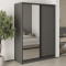 MebelStar Two-door wardrobe Combo BG DSP/Mirror Anthracite, 150x45x210 cm (MBS-11536)