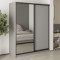 MebelStar Two-door wardrobe Standard BG DSP/Mirror Gray mouse, 170x45x210 cm (MBS-11036)