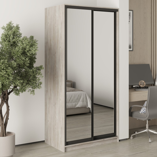 MebelStar Two-door wardrobe Standard BG 2 Mirrors Alaska gray, 100x45x210 cm (MBS-11137)