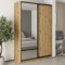 MebelStar Two-door wardrobe Combo BG DSP/Mirror Tahoe Oak, 160x60x240 cm (MBS-10737)