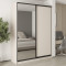 MebelStar Two-door wardrobe Combo BG DSP/Mirror Cashmere, 180x45x240 cm (MBS-10687)