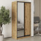 MebelStar Two-door wardrobe Standard BG DSP/Mirror Tahoe Oak, 100x60x210 cm (MBS-11128)