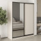 MebelStar Two-door wardrobe Standard BG DSP/Mirror Cashmere, 160x60x210 cm (MBS-11098)