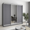 MebelStar Three-door wardrobe Standard AL 2DSP/Mirror Anthracite, 210x45x210 cm (MBS-2905)