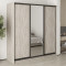 MebelStar Three-door wardrobe Standard BG 2DSP/Mirror Alaska gray, 200x60x210 cm (MBS-8396)