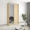 Шкаф-купе двухдверный MebelStar Стандарт AL ДСП/Зеркало 120x45x240 см Дуб тахо (MBS-3719)